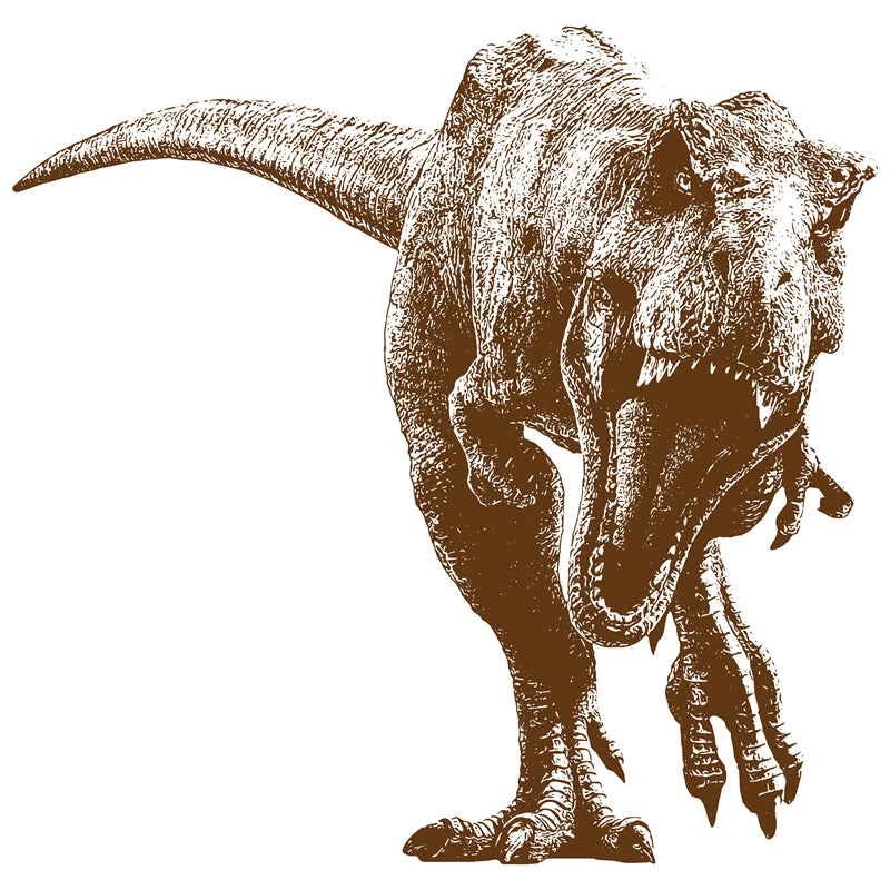 Éléments de dinosaures - Dessin à la main - Vintage - Croquis - Vecteur gratuit