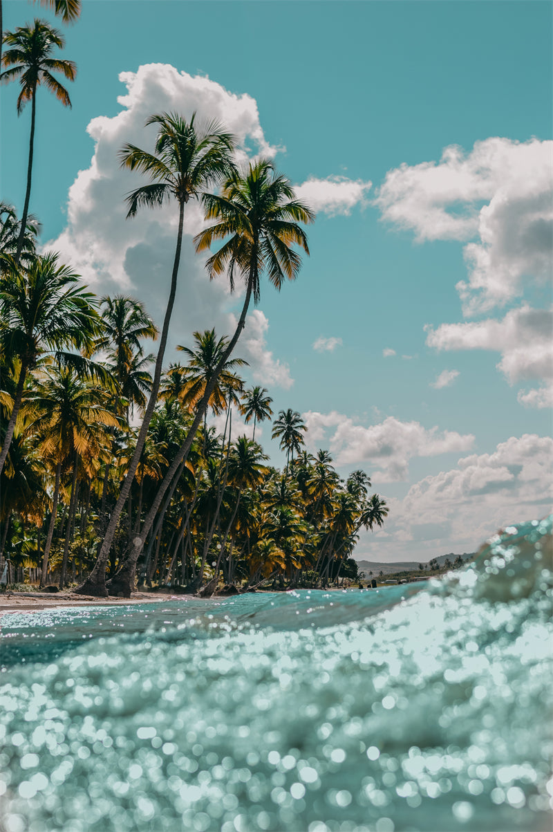 Paysage de bord de mer - Plage des Maldives avec palmiers - Plage tropicale des Caraïbes - Téléchargement gratuit en PNG/PSD/JPG