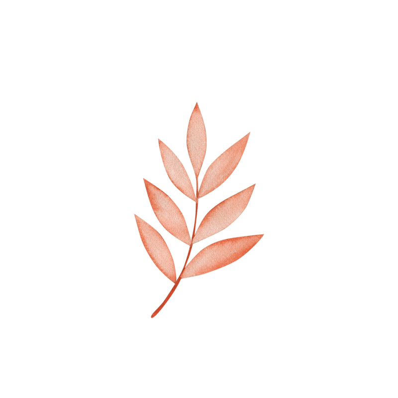 Feuille aquarelle dessinée à la main – Éléments de logo – Vecteur