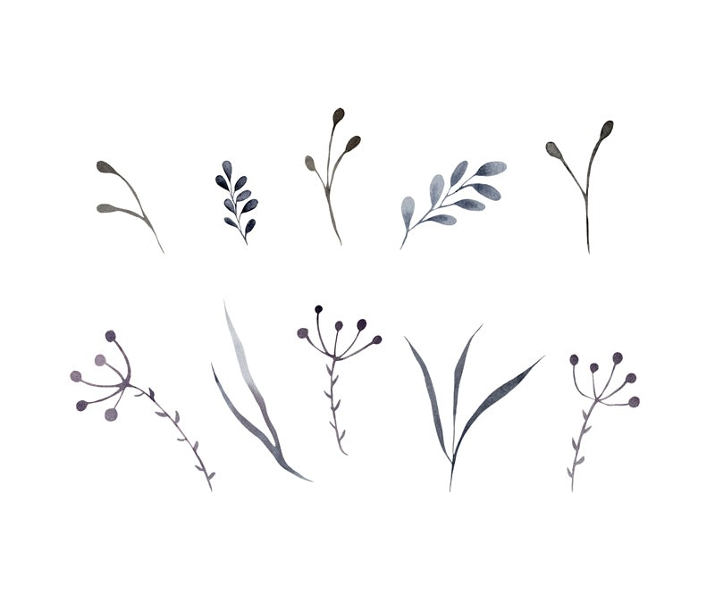 Feuille aquarelle dessinée à la main – Éléments de logo – Vecteur