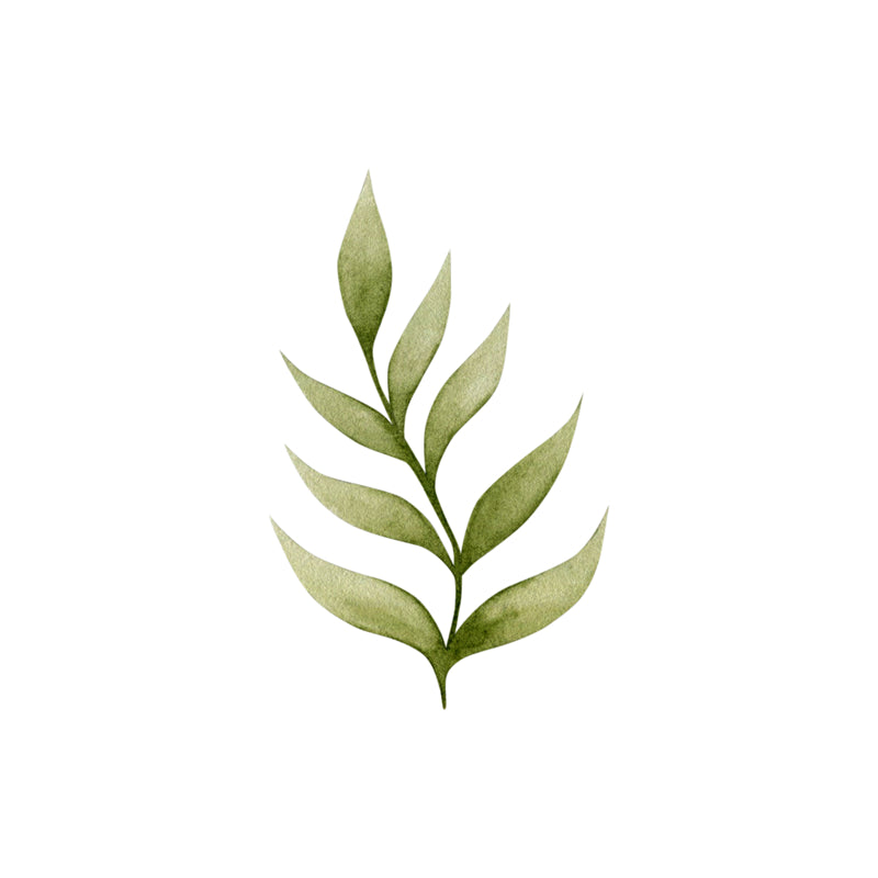 Feuille aquarelle dessinée à la main – Éléments de logo – Vecteur