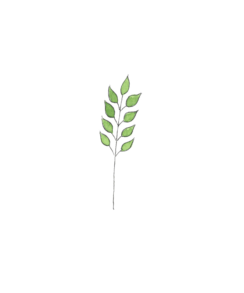 Feuille aquarelle dessinée à la main – Éléments de logo – Vecteur