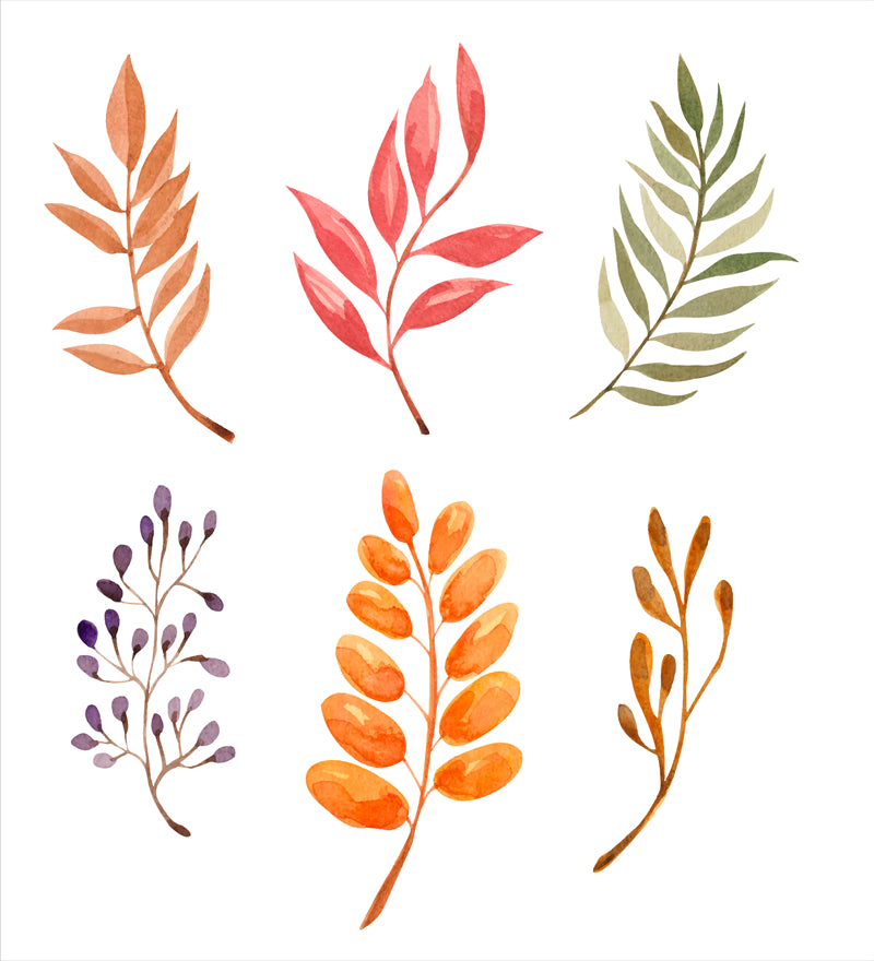 Feuille aquarelle dessinée à la main – Éléments de logo – Vecteur