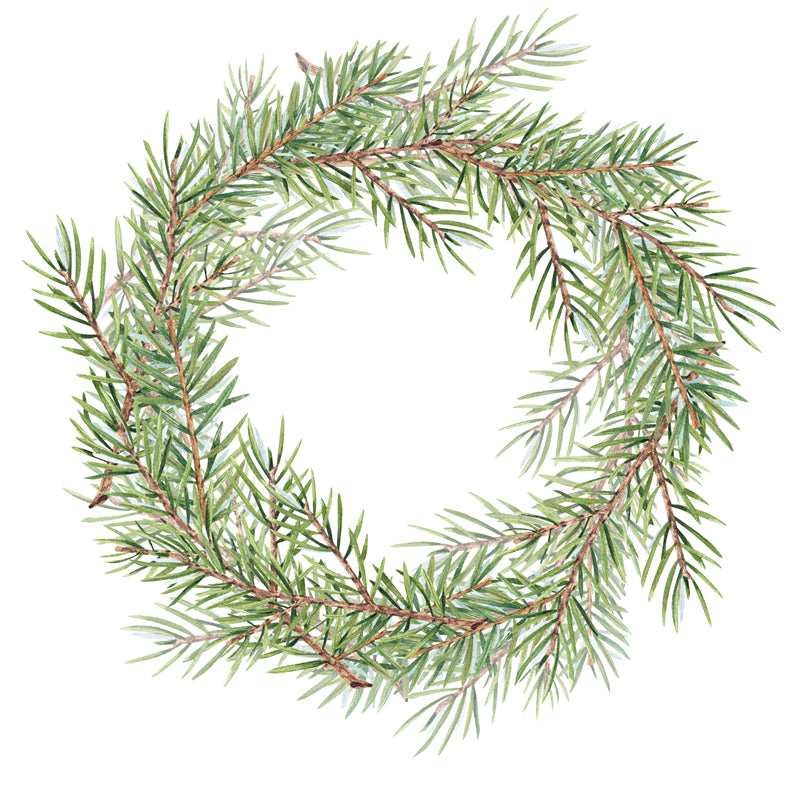 Handdraw Christmas Tree Illustration - Vector  - Png/PSD/JPG/ Free Download