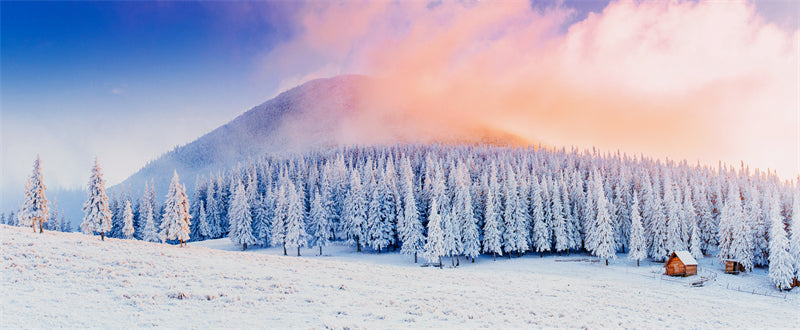 Seasonal Winter Forest - SNOW Covered - Winter Landscape - River - Png/PSD/JPG/ Free Download