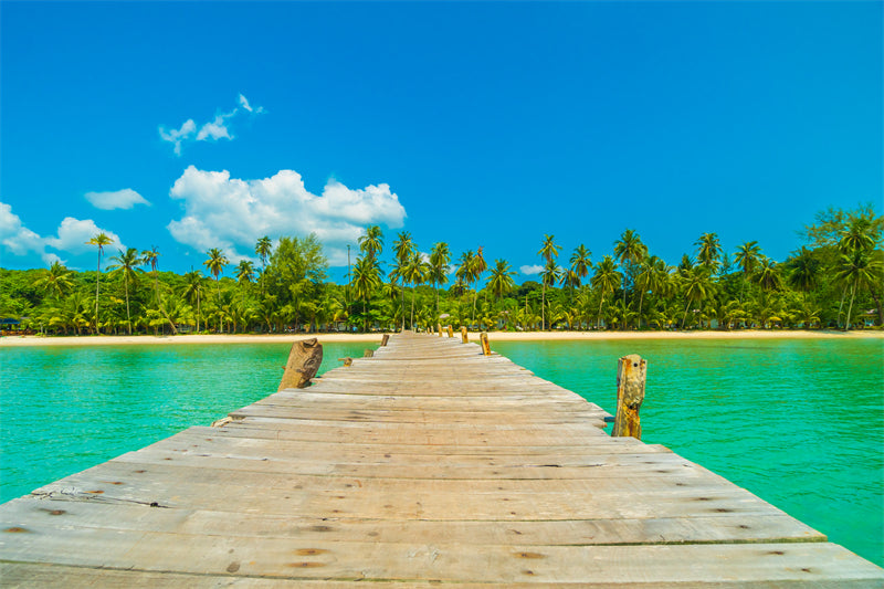 Paysage tropical de vacances d'été avec palmiers - Pont en bois - Île paradisiaque - Affiche de conception d'arrière-plan paysage naturel - Téléchargement gratuit en PNG/PSD/JPG