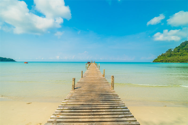 Paysage tropical de vacances d'été avec palmiers - Pont en bois - Île paradisiaque - Affiche de conception d'arrière-plan paysage naturel - Téléchargement gratuit en PNG/PSD/JPG