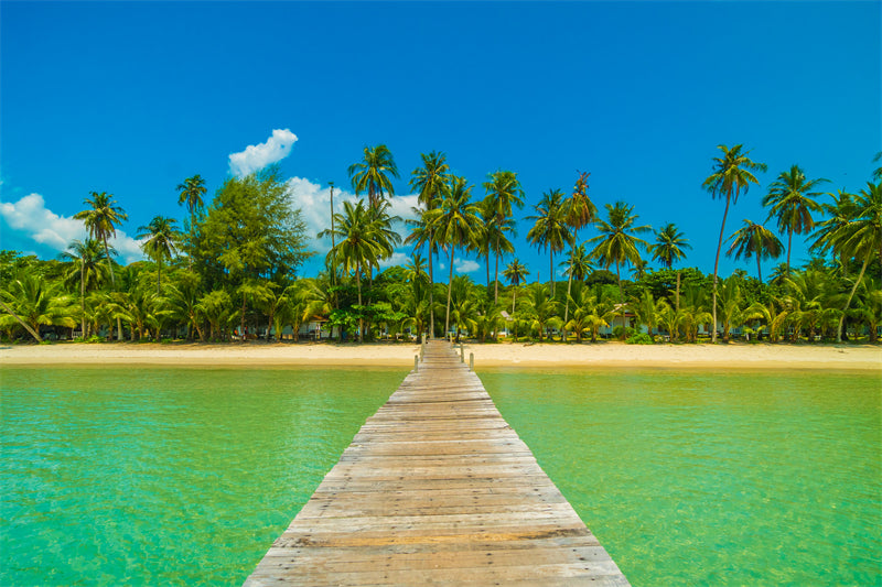 Tropical vacation palm summer landscape - wooden pier bridge - paradise island -  Poster design background nature landscape - Png/PSD/JPG/ Free Download