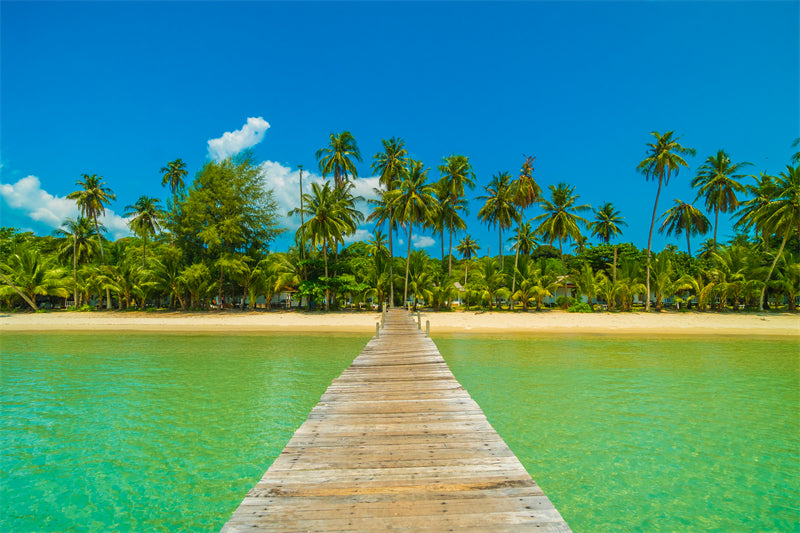 Paysage tropical de vacances d'été avec palmiers - Pont en bois - Île paradisiaque - Affiche de conception d'arrière-plan paysage naturel - Téléchargement gratuit en PNG/PSD/JPG