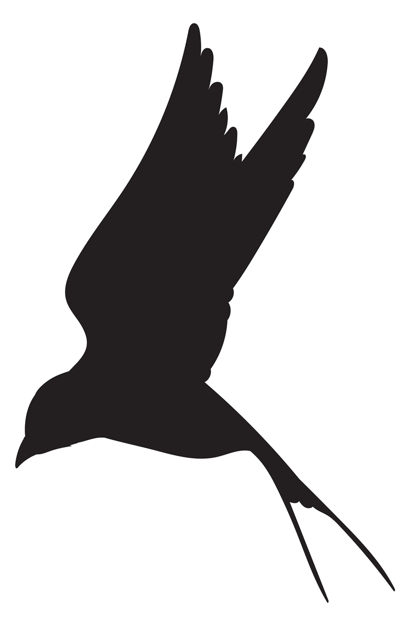 Flying Bird Silhouette Collection -Background Elements Png/PSD/JPG/ Free Download