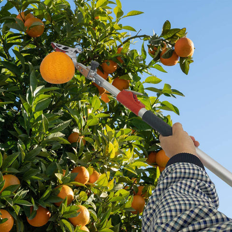 GARTOL Cut & Hold Telescopic Pole Pruner