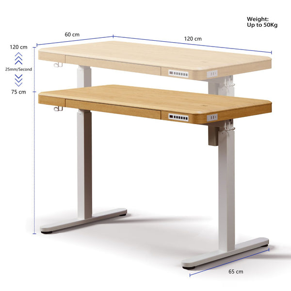 KOWO T3101 standing desk maple colour dimensions