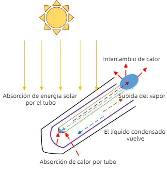 Principio de la cocina solar - flujo