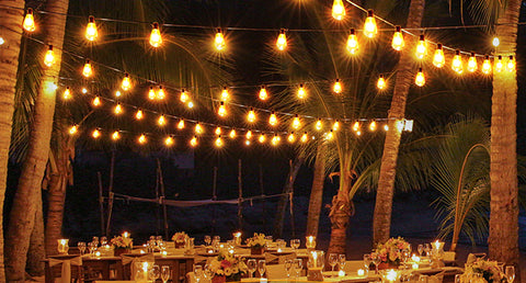 Holiday String Lights