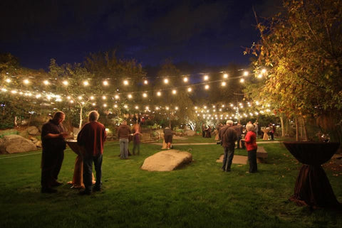 String Lights Led Outdoor