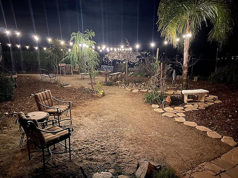 String Lights Decoration