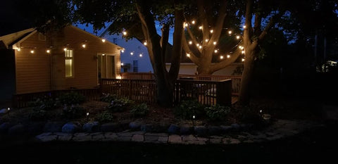 String Light For Dinner Decorating