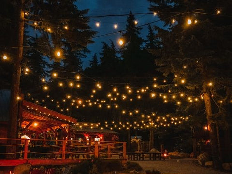 string lights extension cable