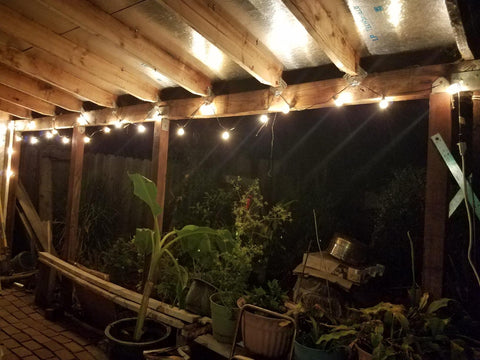 Patio String Lights Idea