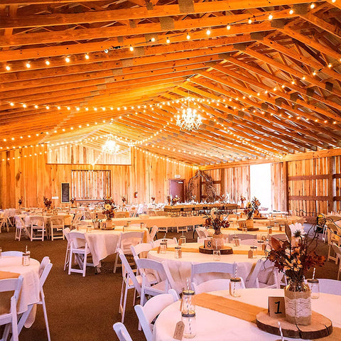 String lights for dinner