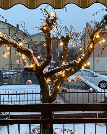 LED Outdoor String Lights
