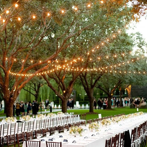 String Light For Party