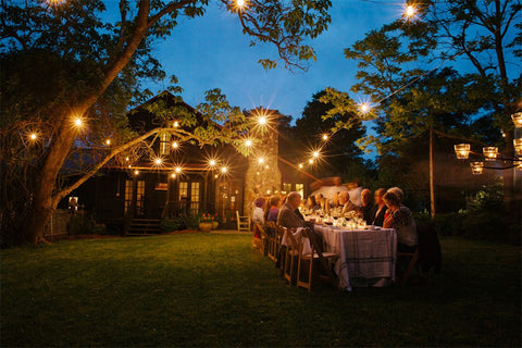 String Lights Edison Bulb