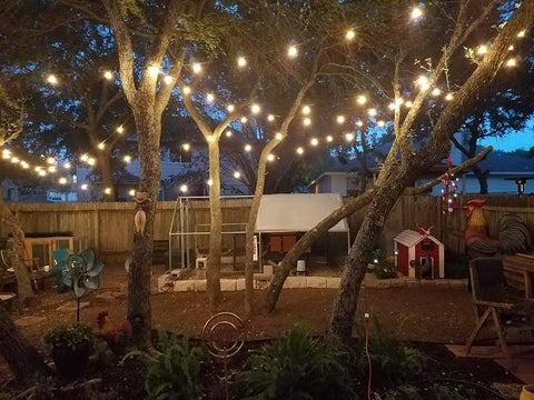 String Lights For Decoration