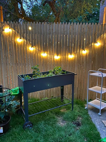Backyard string lights