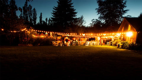 String Lights For Party