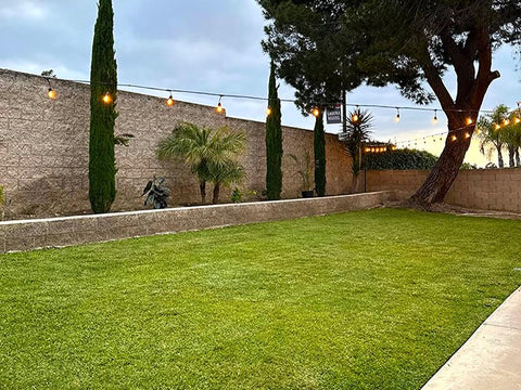 String Lights For Patio