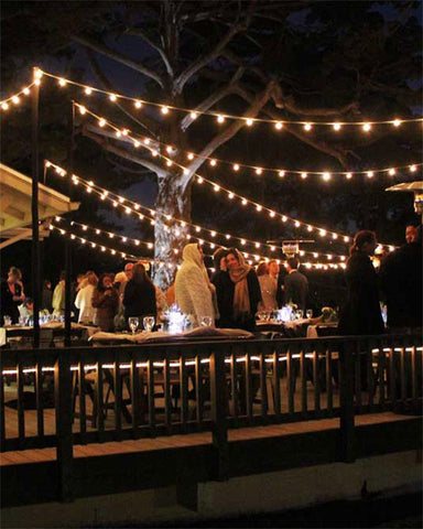 Net String Lights