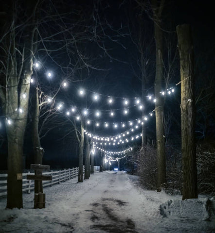 String Light Winter Outdoor