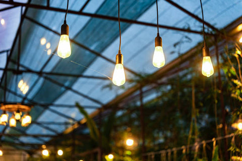 string lights under covered patio