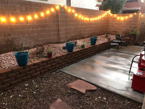String Lights Backyard