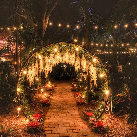 String Light Camping