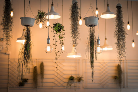 String Lights Home Decor