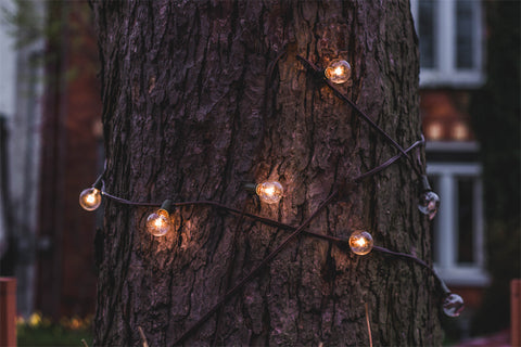 String Lights On Tree
