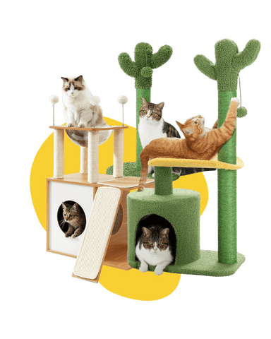 cat tree