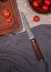 damascus-utility-knife