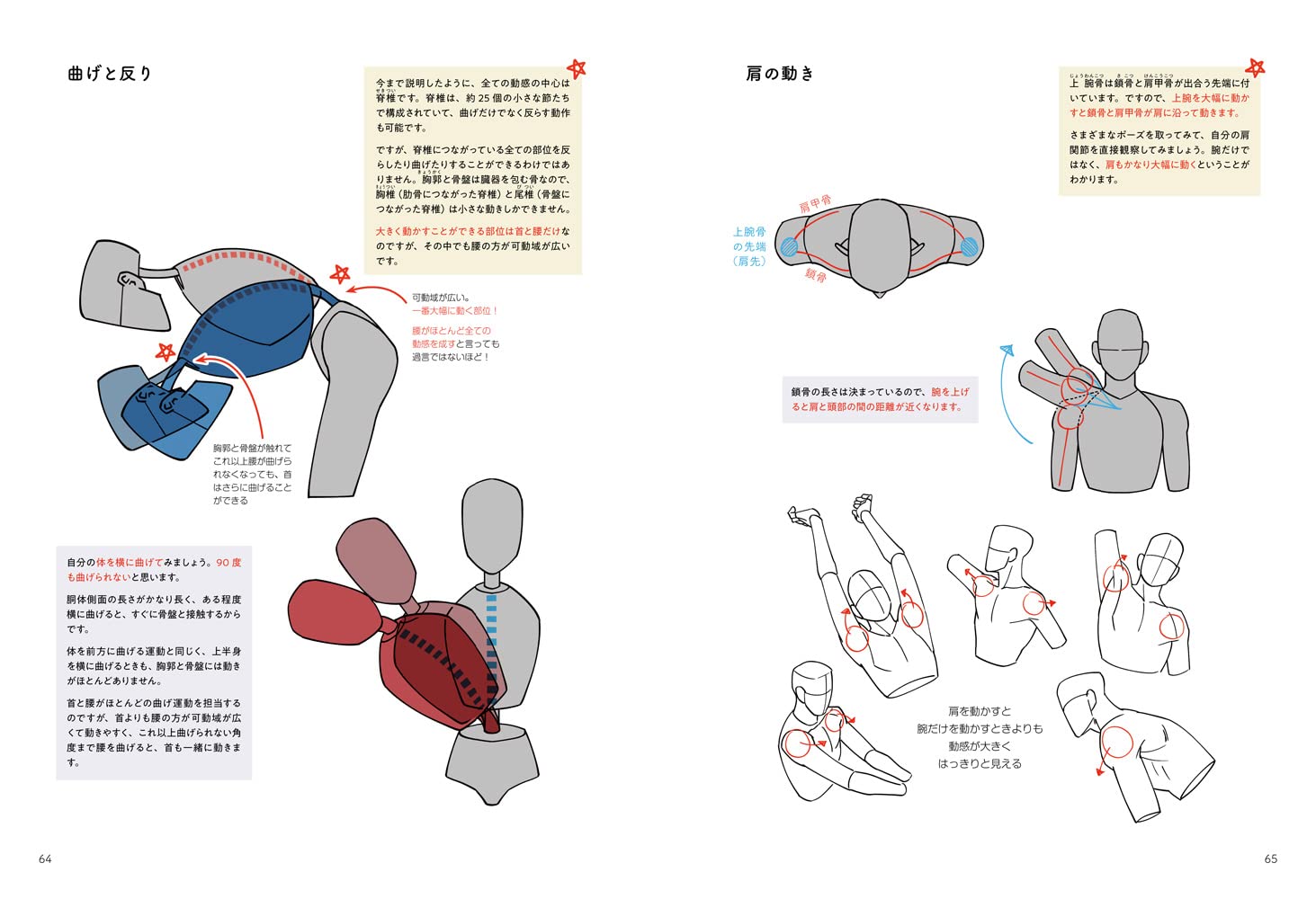 Character Illustration Key Points Summary Notebook