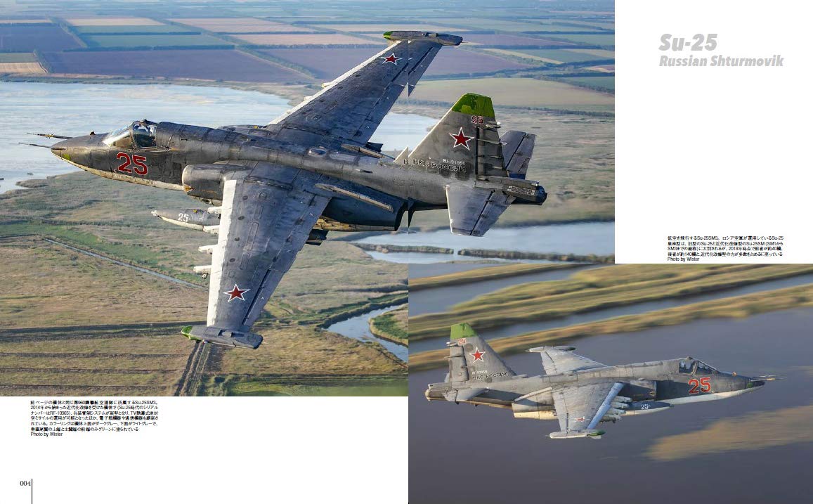 Su-25 Frogfoot   Military Aircraft of the World