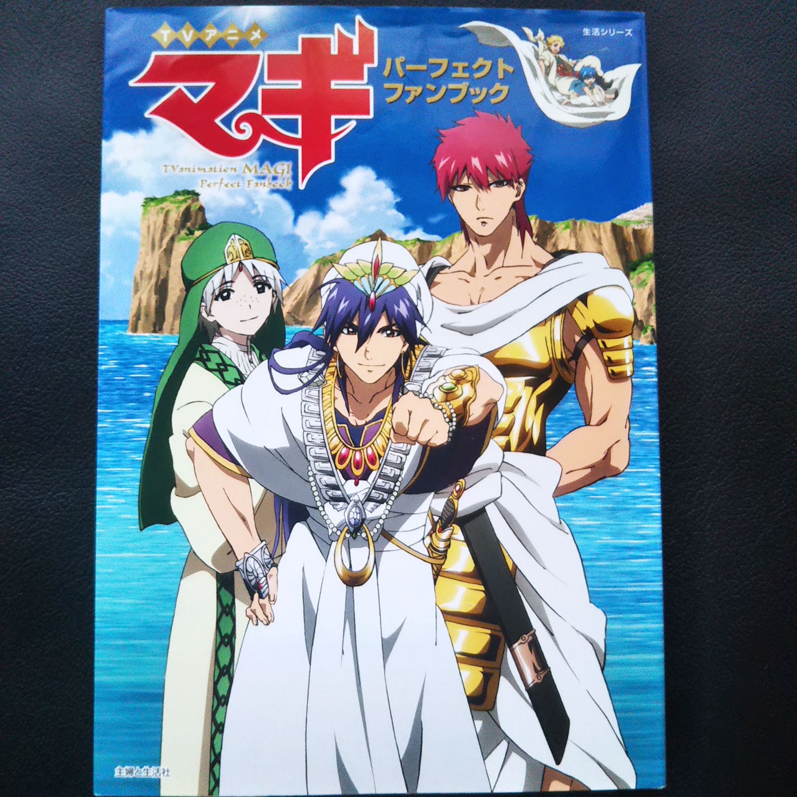 TV Animation Magi The Labyrinth of Magic Perfect Fan Book