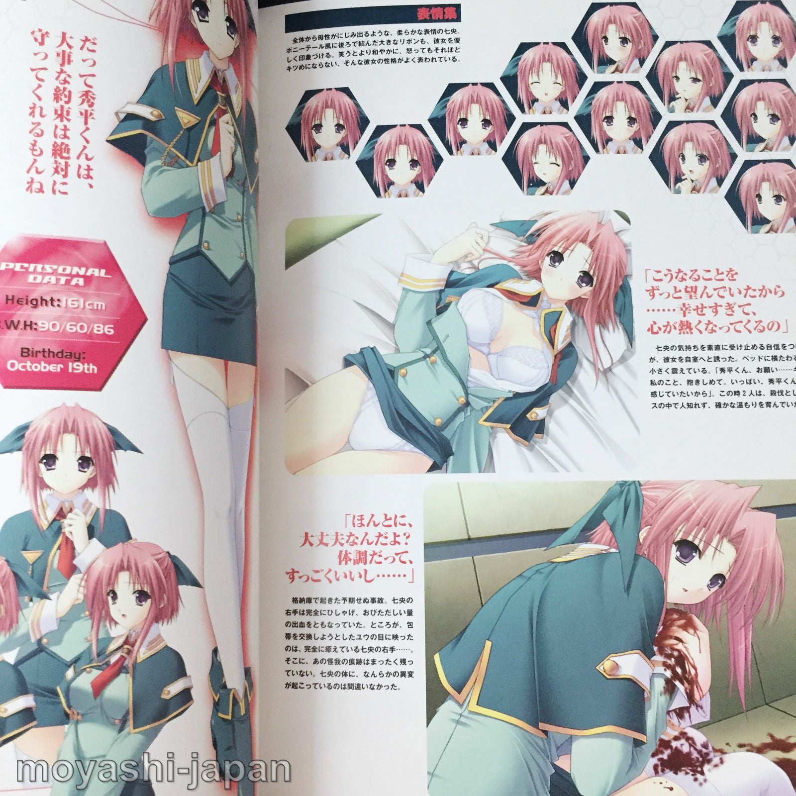 Soul Link Official Visual Guide Book