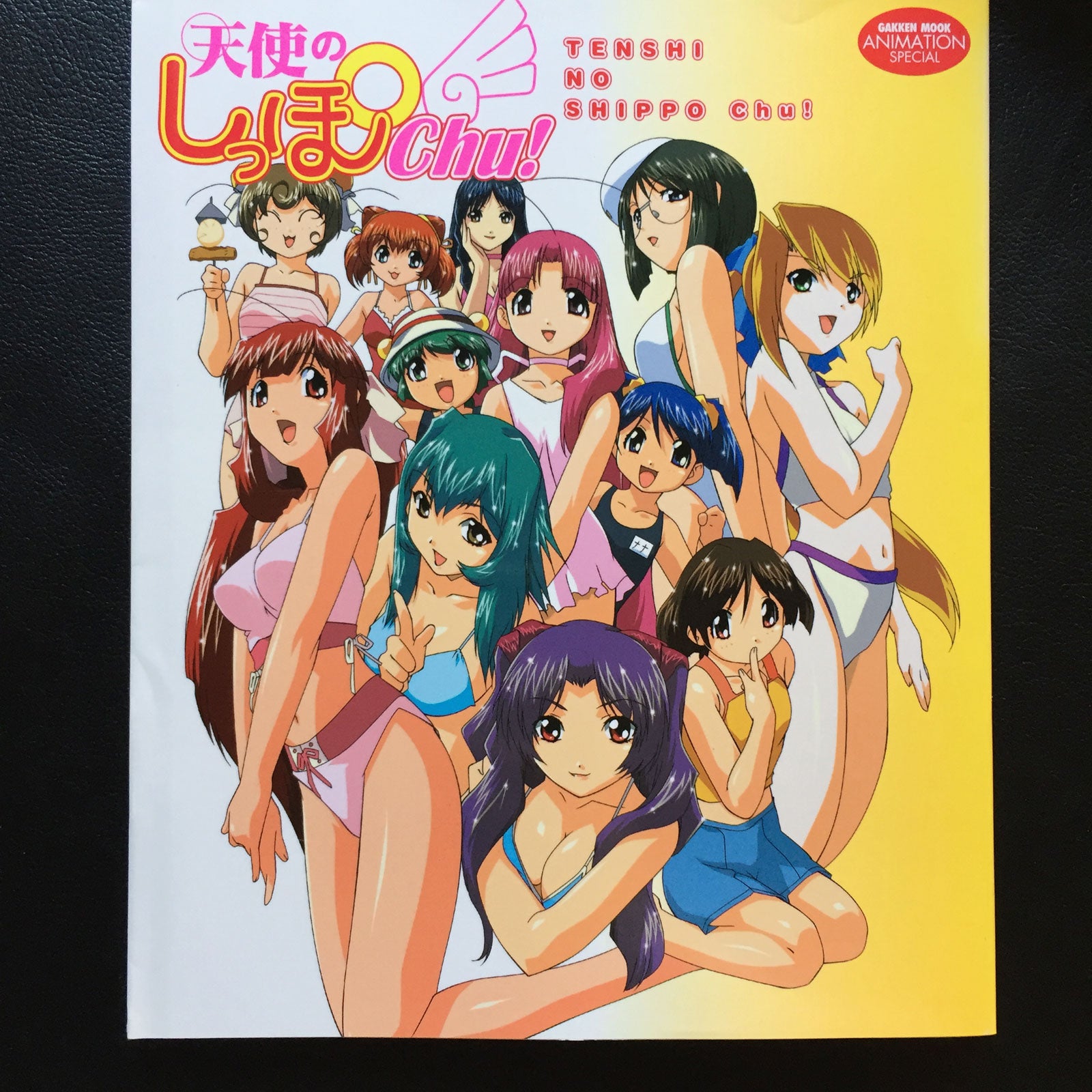 Otogi Story Tenshi no Shippo Chu! Guide Book