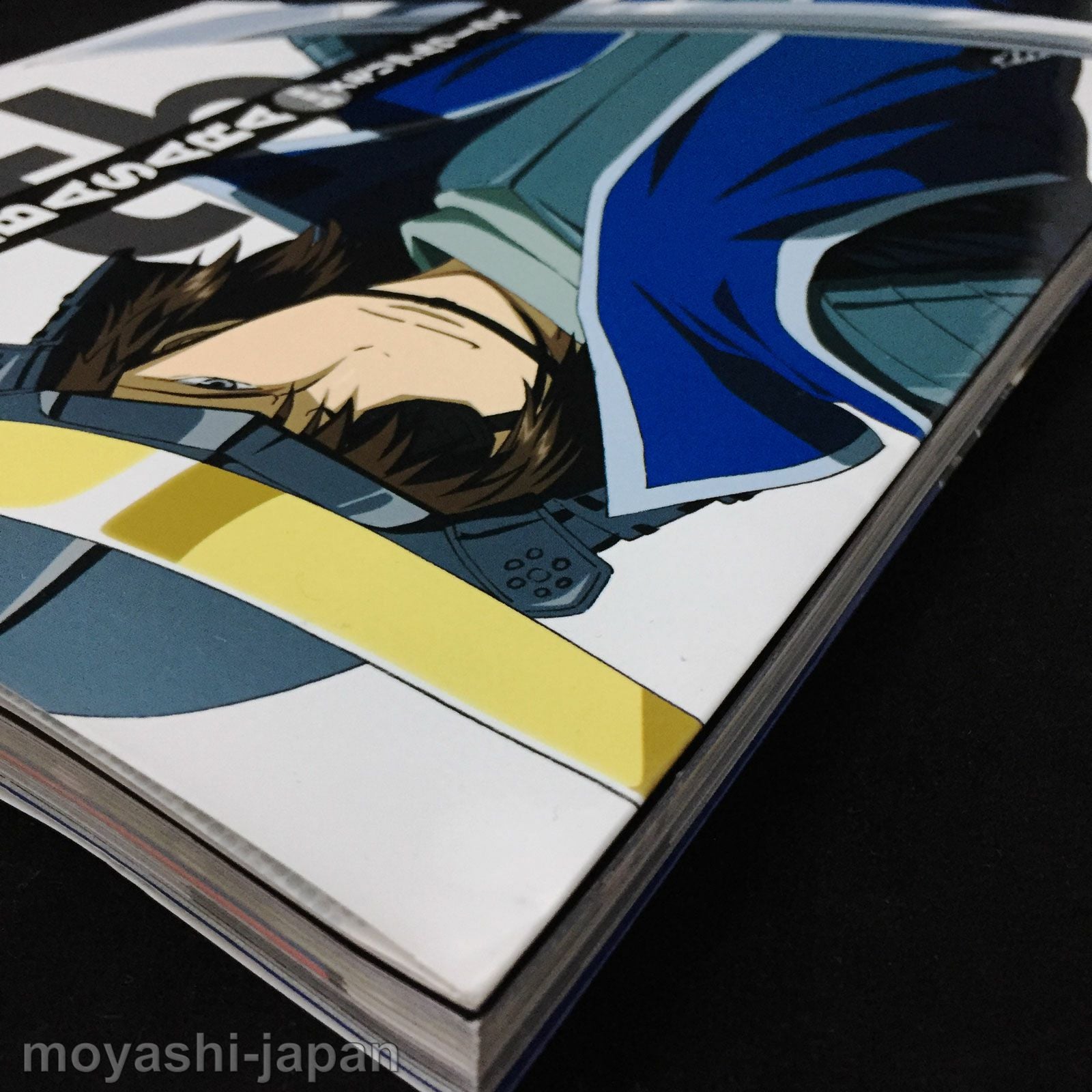 Roman Album Sengoku BASARA 5th Anniversary Memorial Works