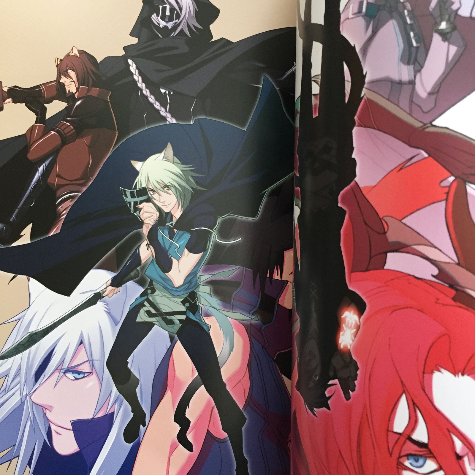 Lamento BEYOND THE VOID Official Visual Fan Book