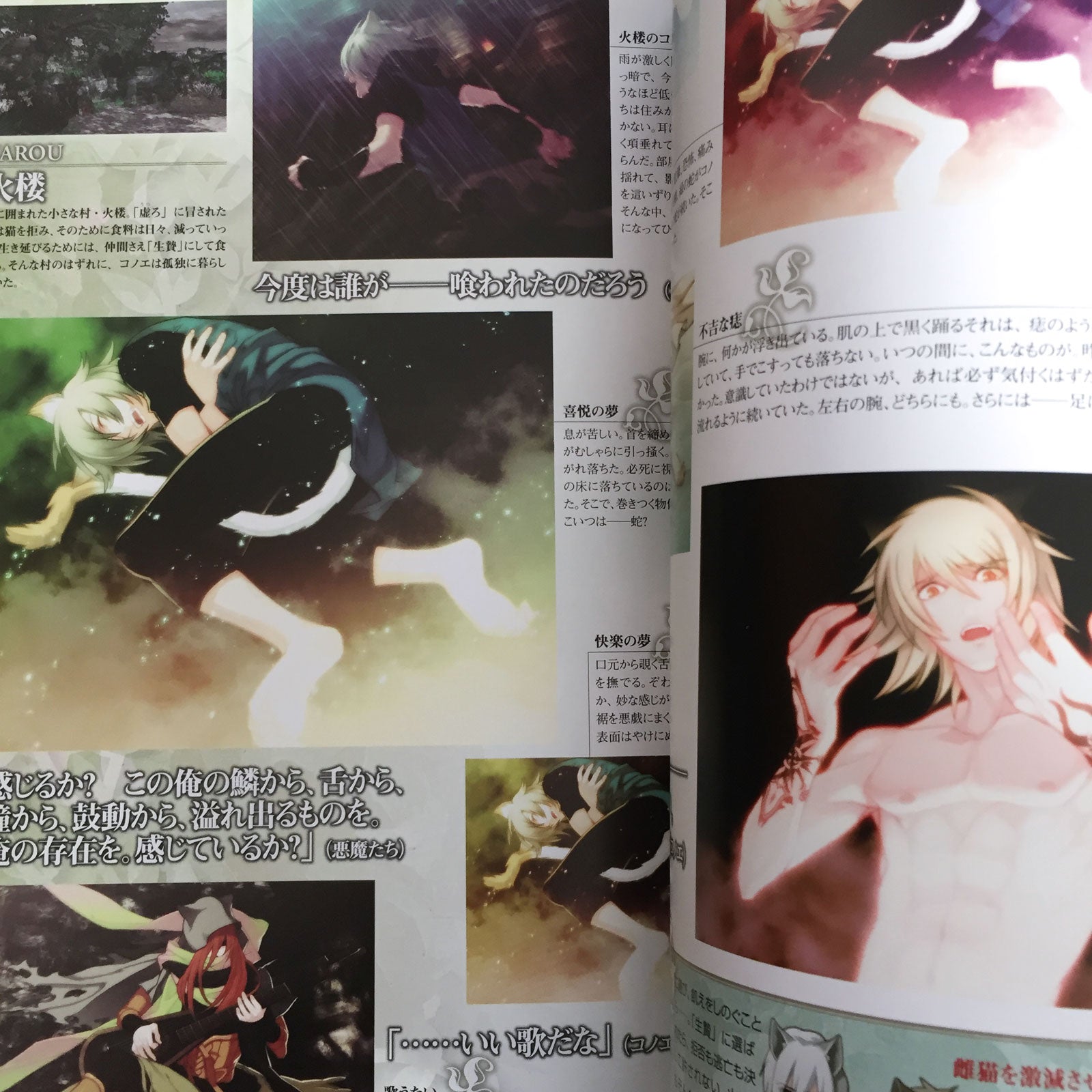 Lamento BEYOND THE VOID Official Visual Fan Book