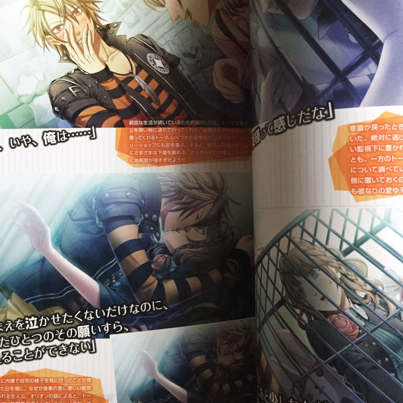 Amnesia Official Visual Fan Book