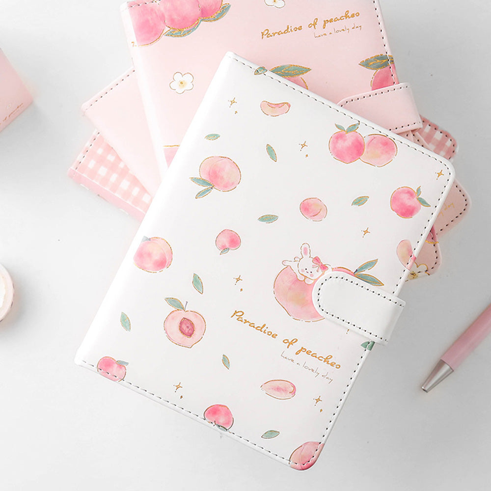 Peach Aesthetic Style Journaling Diary